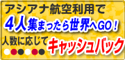 �A�V�A�i�q�󗘗p�L���b�V���o�b�N