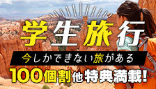 100���ȂǓ��T���ڊw�����s