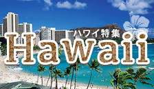 �n���C���W