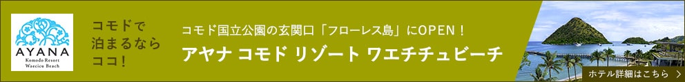 コモドで泊まるならココ！ コモド国立公園の玄関口「フローレス島」にOPEN！アヤナ コモド リゾート ワエチチェビーチ ホテル詳細はこちら