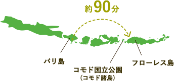 コモド国立公園02