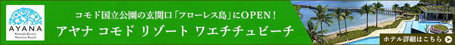コモド国立公園の玄関口「フローレス島」にOPEN！アヤナ コモド リゾート ワエチチュビーチ　ホテル詳細ｊはこちら