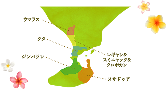 利用可能エリアのバリ島の地図