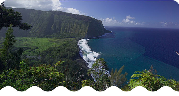 ハワイオンラインツアー