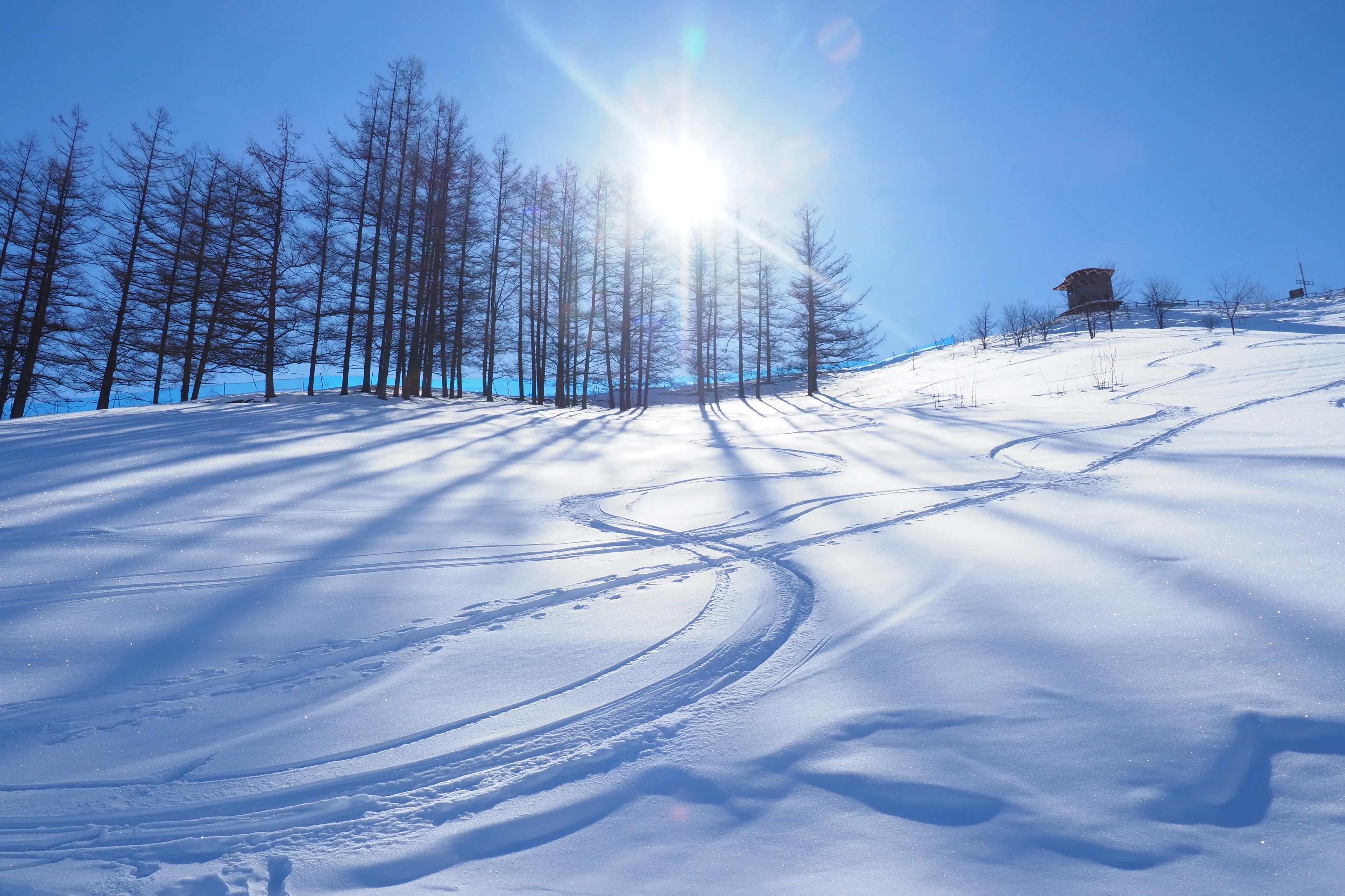 北海道のイメージ