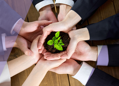 モノの背景を知ることが創造する主体的な人材育成と意識の変化～皮なめし体験より～