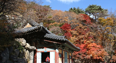 慶州3大世界遺産巡りツアー