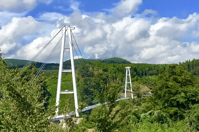 九重夢大吊橋