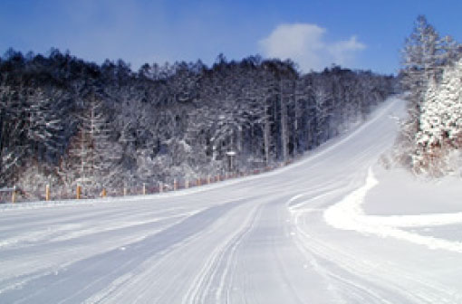 ノルンスキー場（イメージ）