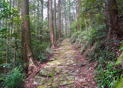 熊野古道（イメージ）