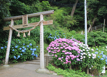 住吉自然公園/住吉神社（イメージ）