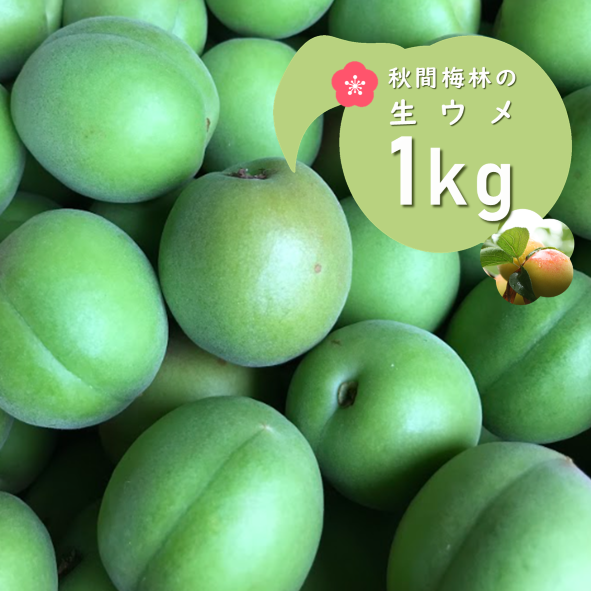 秋間梅林の生ウメ1kg