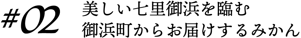 美しい七里御浜を望む御浜町からお届けするみかん