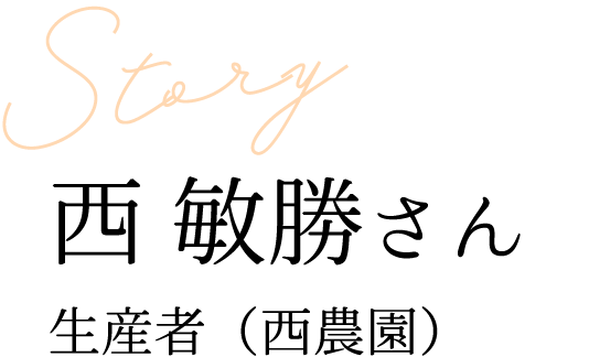 生産者インタビュー・西敏勝さん