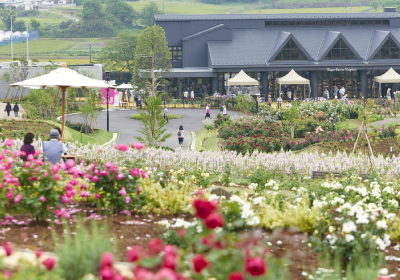 企業研修モニター募集～茨城県石岡市1泊2日～