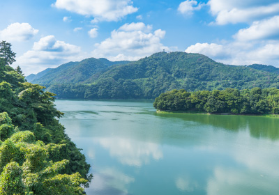 神奈川県民限定「夏休みは、やまなみ五湖へ行こう !水源地域体験交流ツアー」