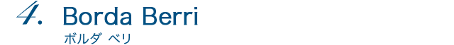 Borda Berri