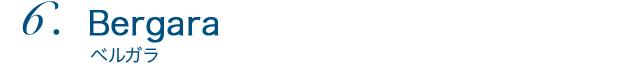 Bergara