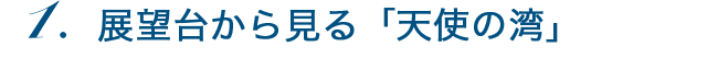 展望台から見る「天使の湾」