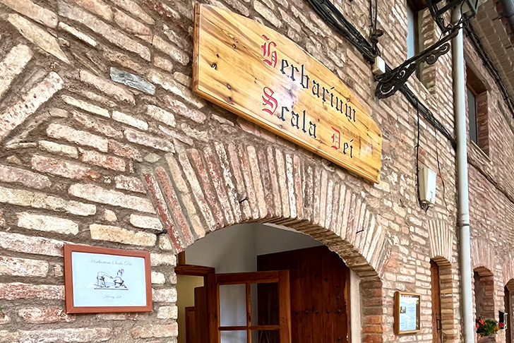 ハーバリウム スカラ デイ(イメージ)