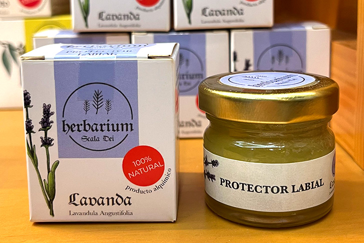 ハーバリウム スカラ デイ(イメージ)