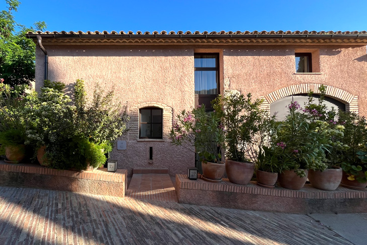 テラ ドミニカータ(イメージ)