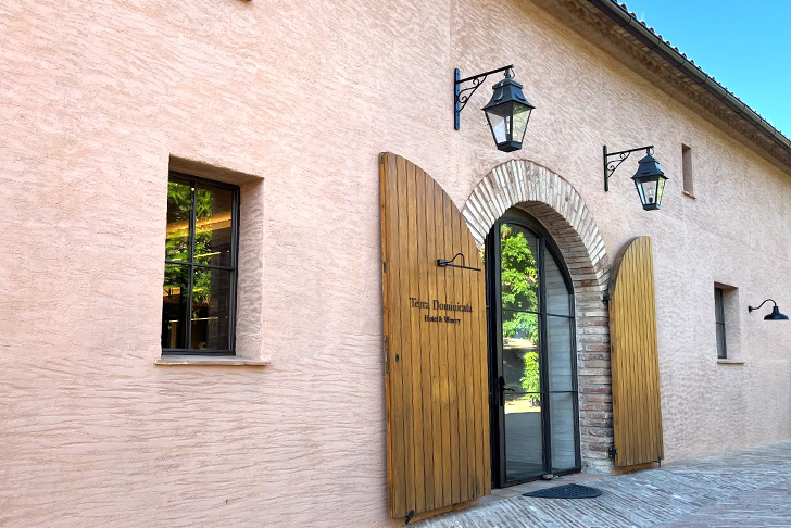 テラ ドミニカータ(イメージ)