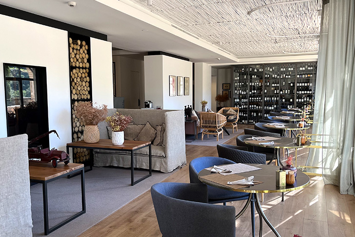 テラ ドミニカータ(イメージ)