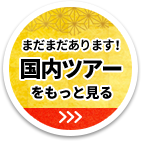 まだまだあります！国内ツアーをもっと見る