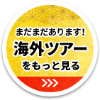 まだまだあります！海外ツアーをもっと見る