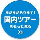 まだまだあります！国内ツアーをもっと見る
