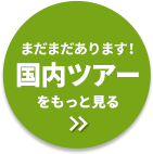 まだまだあります！国内ツアーをもっと見る