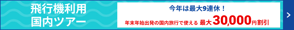 年末年始最大30,000円割引クーポン