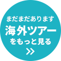 まだまだあります！海外ツアーをもっと見る