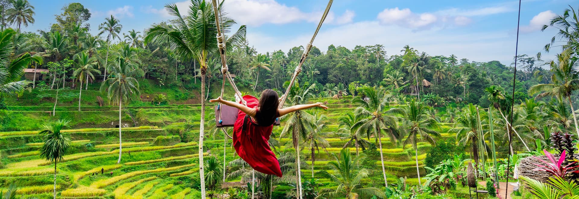 インドネシア ライステラス