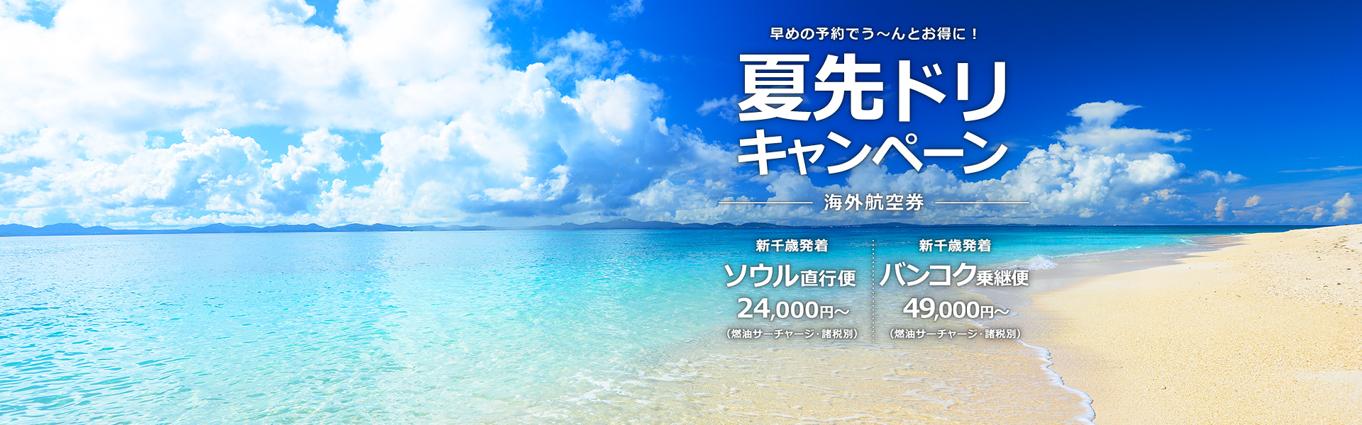 夏先ドリキャンペーン