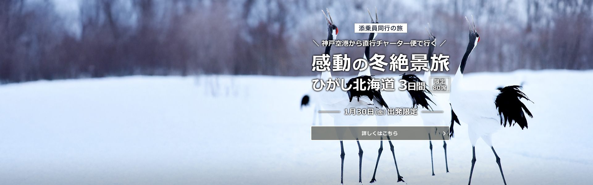 直行チャーター便で行く！感動の冬絶景旅 ひがし北海道3日間