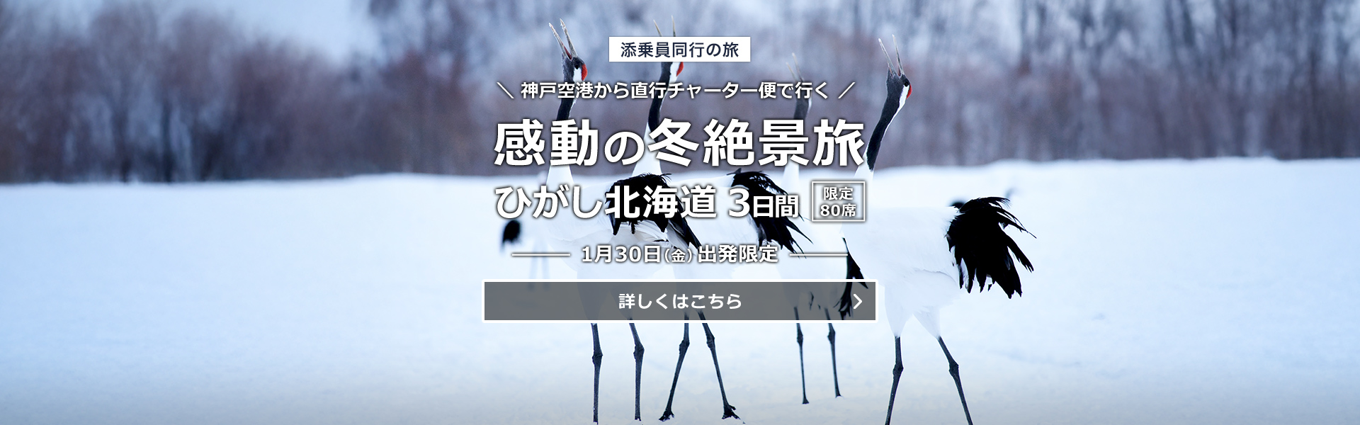 直行チャーター便で行く！感動の冬絶景旅 ひがし北海道3日間