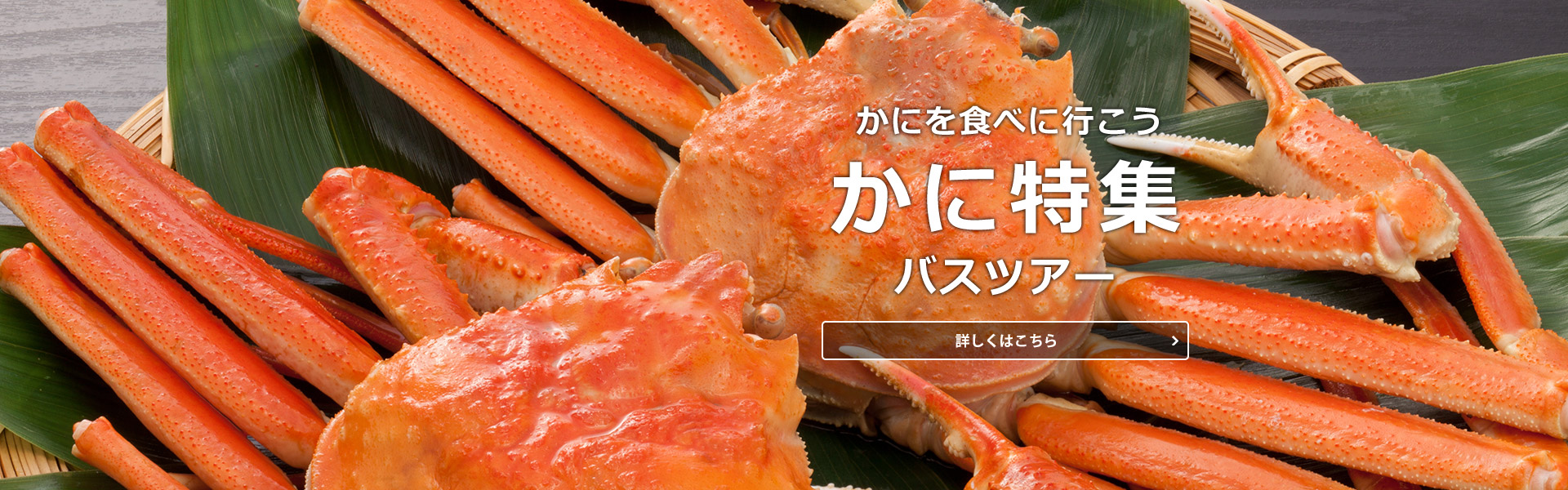かにを食べに行こう　かに特集　バスツアー