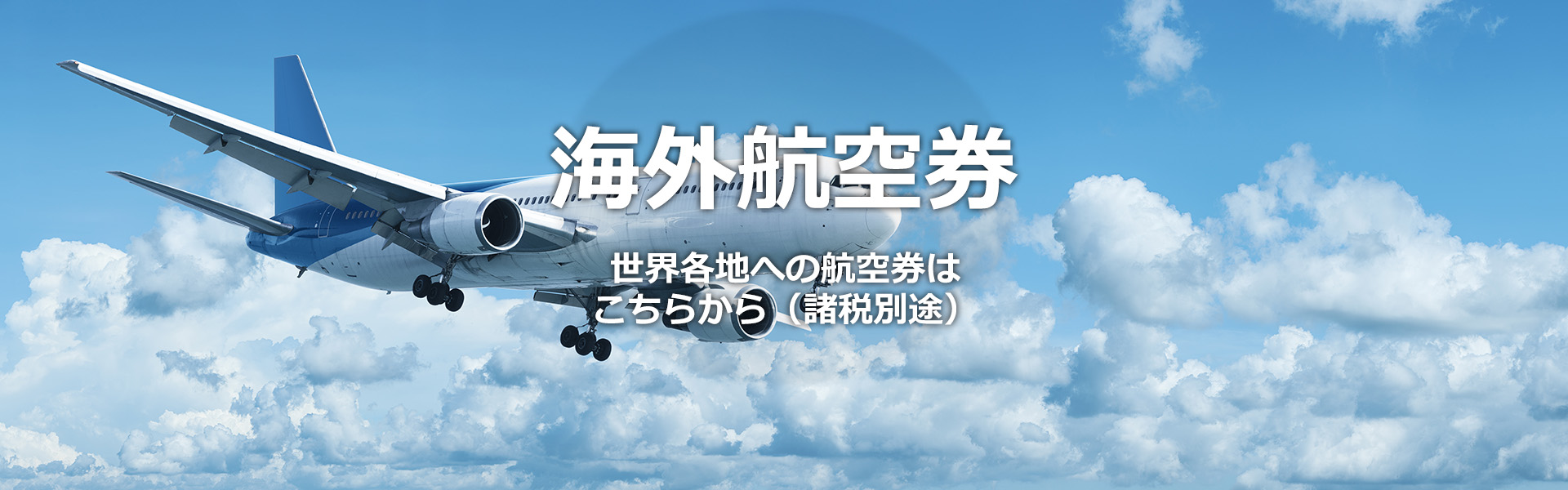 海外航空券