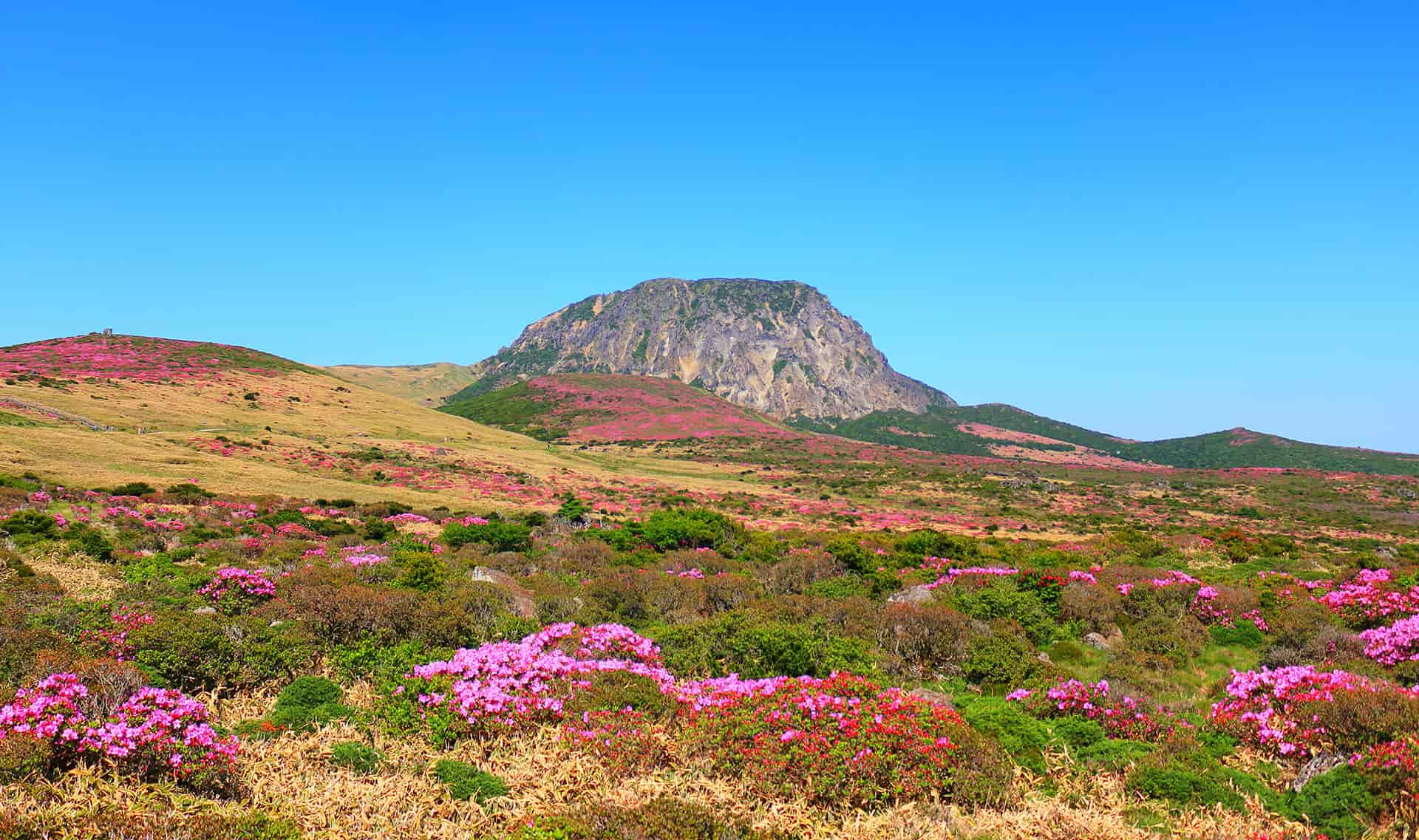 チェジュ（チェジュ島）の風景