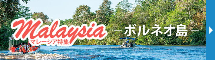 ボルネオ島特集