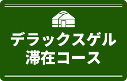 デラックスゲル滞在コース