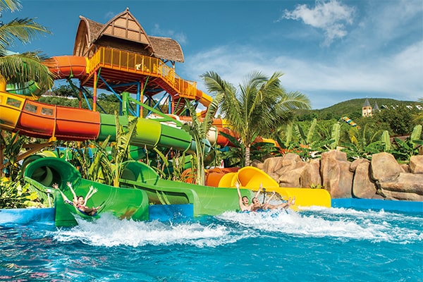 トロピカルパラダイス