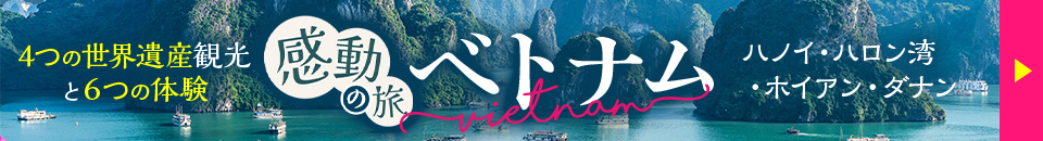 感動の旅 ベトナム6日間