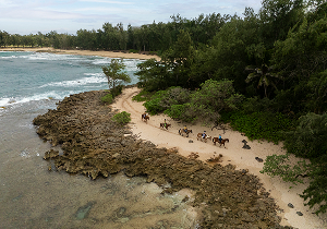 充実のアクティビティでリゾートを満喫