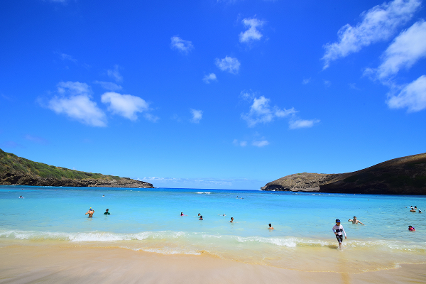 海洋自然保護区 ハナウマ湾シャトル