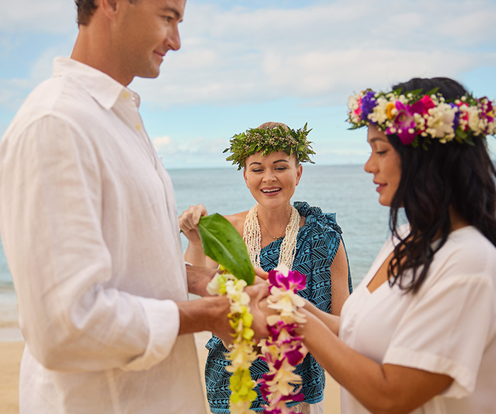 バウ・リニューアル