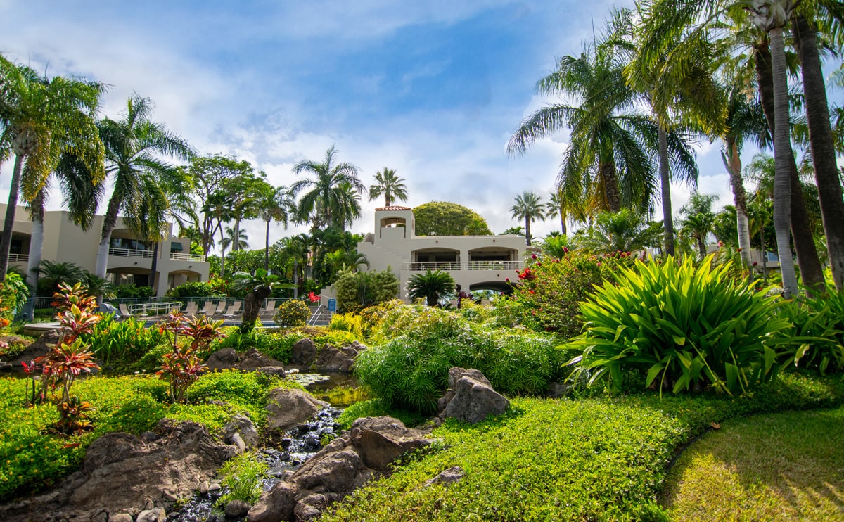 パームス・アット・ワイレア・マウイ by アウトリガー