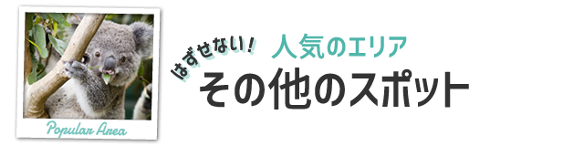 その他のスポット